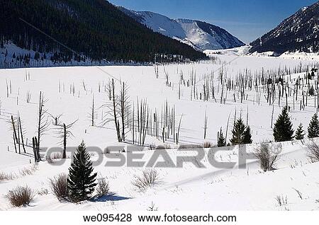 Sheep mountain with snow covered landslide fracture of the Madison range that produced Earthquake Lake in Montana View Large Photo Image Stock Photo - Sheep mountain with snow covered landslide fracture of the Madison range that produced Earthquake Lake in Montana. Fotosearch