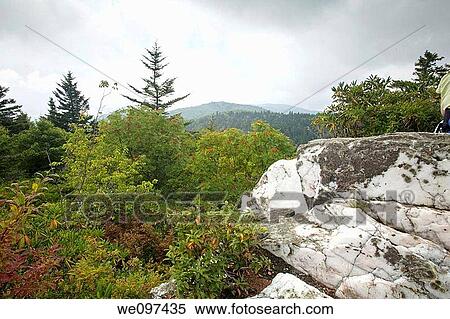 Shinning Rock Wilderness Area, Pisgah Nat Forest, NC View Large Photo Image Stock Photography - Shinning Rock Wilderness Area, Pisgah Nat Forest, NC. Fotosearch