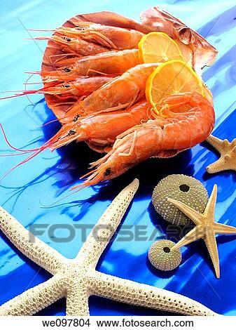 Picture - Shrimp. Fotosearch