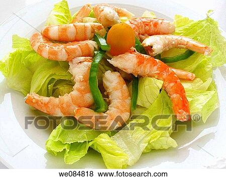 Shrimp Salad View Large Photo Image Stock Photo - Shrimp Salad. Fotosearch
