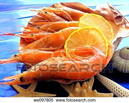 Shrimp View Large Photo Image Stock Photography - Shrimp. Fotosearch