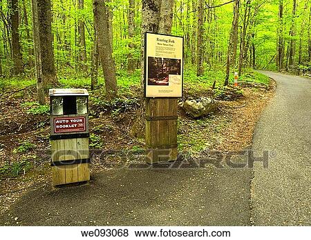 Signs, Roaring Fork Motor Nature Trail, Spring, Great Smoky Mountains National Park, TN, USA View Large Photo Image Stock Photo - Signs, Roaring Fork Motor Nature Trail, Spring, Great Smoky Mountains National Park, TN, USA. Fotosearch