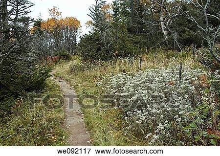 Skyline Trail, Cape Breton Highlands National Park, Nova Scotia, Canada View Large Photo Image Stock Photo - Skyline Trail, Cape Breton Highlands National Park, Nova Scotia, Canada. Fotosearch