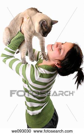 Smiling young girl lifting a Siamese cat to her face on a white background View Large Photo Image Stock Image - Smiling young girl lifting a Siamese cat to her face on a white background. Fotosearch