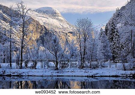 Snow covered trees along the Merced River with North Dome in morning sun View Large Photo Image Stock Image - Snow covered trees along the Merced River with North Dome in morning sun. Fotosearch