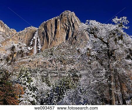 Snow covered trees in the valley of Yosemite National Park with the Upper Yosemite Fall in winter View Large Photo Image Stock Photo - Snow covered trees in the valley of Yosemite National Park with the Upper Yosemite Fall in winter. Fotosearch