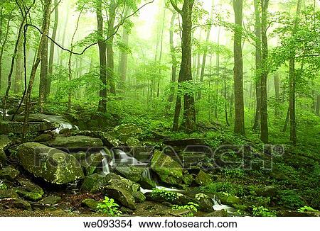 Spring Landscape, Newfound Gap Rd, Great Smoky Mountains National Park, TN View Large Photo Image Picture - Spring Landscape, Newfound Gap Rd, Great Smoky Mountains National Park, TN. Fotosearch