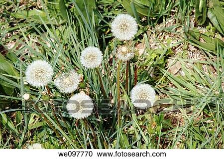 Stock Image - Spring landscape Virgen de la Vega Gudar mountains Teruel province Aragon Spain. Fotosearch