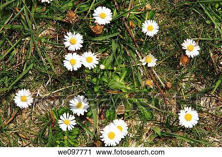 Spring landscape Virgen de la Vega Gudar mountains Teruel province Aragon Spain View Large Photo Image Stock Image - Spring landscape Virgen de la Vega Gudar mountains Teruel province Aragon Spain. Fotosearch