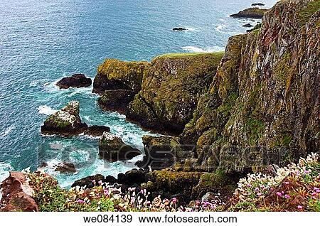 St Abb's Head cliffs. Scottish Borders, Scotland, UK View Large Photo Image Stock Photo - St Abb's Head cliffs. Scottish Borders, Scotland, UK. Fotosearch