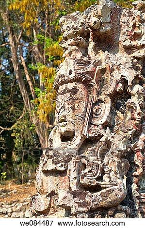 Stela F (AD 721) in the Great Plaza, Mayan ruins of Copan, Honduras View Large Photo Image Stock Photo - Stela F (AD 721) in the Great Plaza, Mayan ruins of Copan, Honduras. Fotosearch