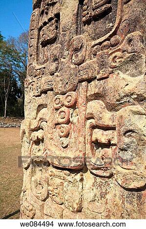 Stela in the Great Plaza, Mayan ruins of Copan, Honduras View Large Photo Image Picture - Stela in the Great Plaza, Mayan ruins of Copan, Honduras. Fotosearch