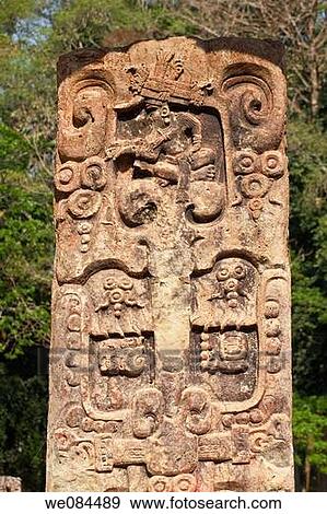 Stela in the Great Plaza, Mayan ruins of Copan, Honduras View Large Photo Image Stock Photo - Stela in the Great Plaza, Mayan ruins of Copan, Honduras. Fotosearch