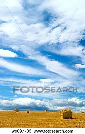 straw bales in prairie with lots of sky View Large Photo Image Stock Image - straw bales in prairie with lots of sky. Fotosearch