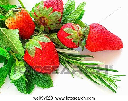 Strawberries, mint and rosemary View Large Photo Image Stock Image - Strawberries, mint and rosemary. Fotosearch