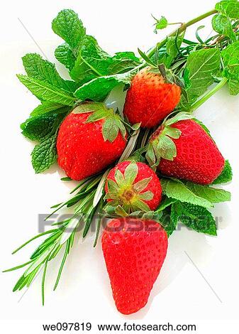 Strawberries, mint and rosemary View Large Photo Image Stock Photo - Strawberries, mint and rosemary. Fotosearch