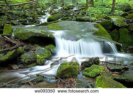 Stream, Spring Landscape, Newfound Gap Rd, Great Smoky Mountains National Park, TN View Large Photo Image Stock Image - Stream, Spring Landscape, Newfound Gap Rd, Great Smoky Mountains National Park, TN. Fotosearch
