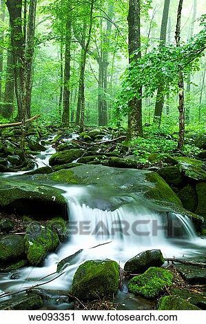 Stream, Spring Landscape, Newfound Gap Rd, Great Smoky Mountains National Park, TN View Large Photo Image Stock Image - Stream, Spring Landscape, Newfound Gap Rd, Great Smoky Mountains National Park, TN. Fotosearch