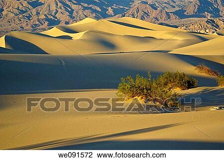 Sunset casts shadows across undulating sand dunes in Death Valley, California View Large Photo Image Stock Image - Sunset casts shadows across undulating sand dunes in Death Valley, California. Fotosearch