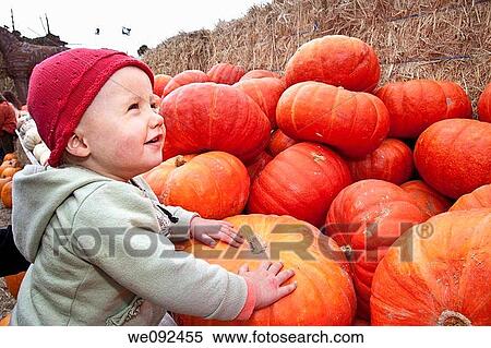 Stock Photography - The carving of pumpkins is associated with Halloween in North America where pumpkins are both readily available and much larger- making them easier to carve than turnips 12 Many families that celebrate Halloween carve a pumpkin into a frightening or comic. Fotosearch