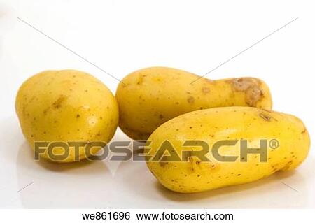 Three potatoes on white background View Large Photo Image Stock Photograph - Three potatoes on white background. Fotosearch