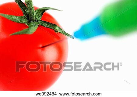 Tomato being injected with hypodermic syringe, GM food concept View Large Photo Image Picture - Tomato being injected with hypodermic syringe, GM food concept. Fotosearch
