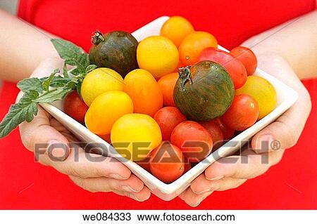 Tomatoes? mini? View Large Photo Image Stock Image - Tomatoes? mini?. Fotosearch