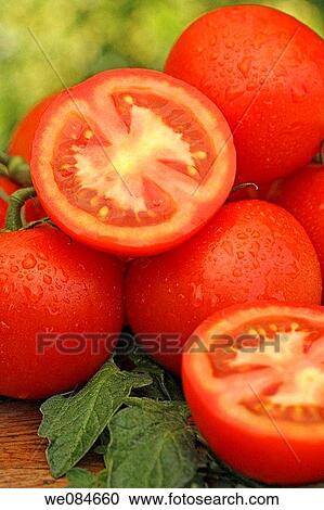 Stock Image - Tomatoes. Fotosearch