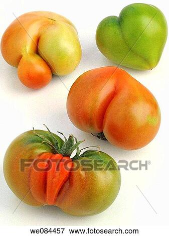 Tomatoes View Large Photo Image Stock Photo - Tomatoes. Fotosearch