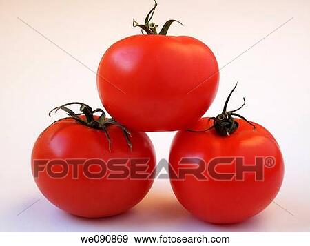 Tomatoes View Large Photo Image Stock Photo - Tomatoes. Fotosearch