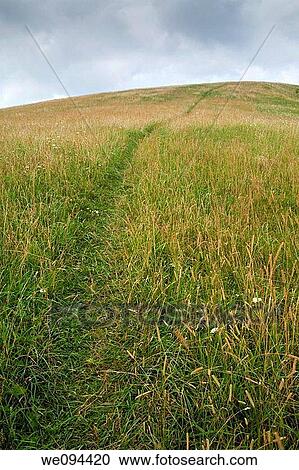Trail at Max Patch, Appalachian Trail, Pisgah Nat Forest, NC View Large Photo Image Stock Image - Trail at Max Patch, Appalachian Trail, Pisgah Nat Forest, NC. Fotosearch