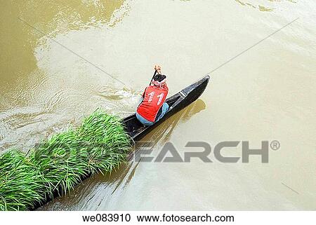 Transporting grass by a small boat near Mannarsala, Kerala, India. View Large Photo Image Stock Image - Transporting grass by a small boat near Mannarsala, Kerala, India.. Fotosearch