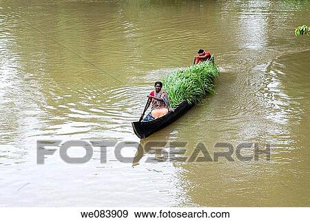 Transporting grass by a small boat near Mannarsala, Kerala, India. View Large Photo Image Stock Photo - Transporting grass by a small boat near Mannarsala, Kerala, India.. Fotosearch