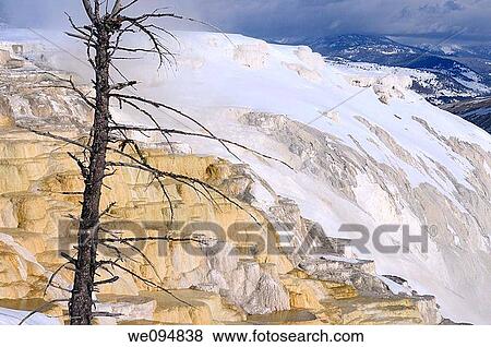 Travertine ledges at Canary Spring in winter at Mammoth Hot Springs Yellowstone National Park View Large Photo Image Stock Photo - Travertine ledges at Canary Spring in winter at Mammoth Hot Springs Yellowstone National Park. Fotosearch