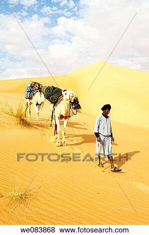 Trek and camel riding nearby Chinguetti, Sahara sand desert, erg, Adrar mountains, Mauritania View Large Photo Image Stock Photo - Trek and camel riding nearby Chinguetti, Sahara sand desert, erg, Adrar mountains, Mauritania. Fotosearch