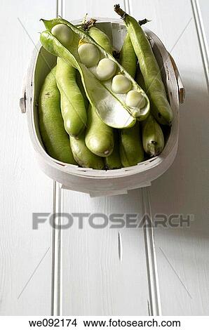 Trug with broad beans View Large Photo Image Picture - Trug with broad beans. Fotosearch