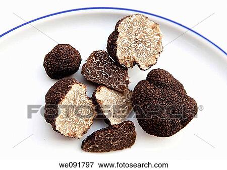 Tuber melanosporum View Large Photo Image Stock Photo - Tuber melanosporum. Fotosearch