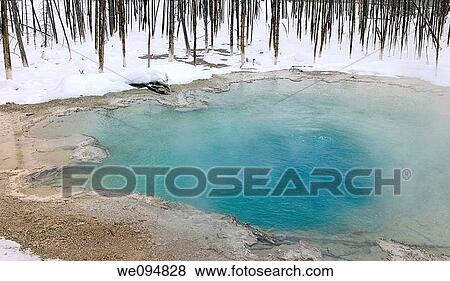 Turquoise water of Cistern Spring with dead trees in winter at Norris Geyser Basin Yellowstone Park View Large Photo Image Stock Photo - Turquoise water of Cistern Spring with dead trees in winter at Norris Geyser Basin Yellowstone Park. Fotosearch