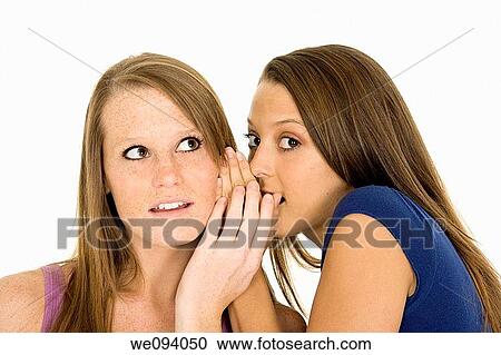 Two beautiful caucasian women telling secret on a white background View Large Photo Image Stock Image - Two beautiful caucasian women telling secret on a white background. Fotosearch