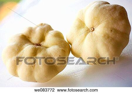 Two Overripe Patisson Squash Vegetables. Cucurbita pepo. View Large Photo Image Stock Image - Two Overripe Patisson Squash Vegetables. Cucurbita pepo.. Fotosearch