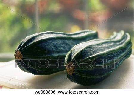 Two Striped Summer Squash Vegetables on Cutting Board. Cucurbita pepo. View Large Photo Image Stock Photograph - Two Striped Summer Squash Vegetables on Cutting Board. Cucurbita pepo.. Fotosearch