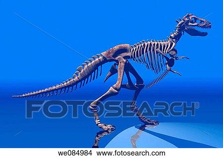 Tyrannosaurus rex skeleton View Large Photo Image Picture - Tyrannosaurus rex skeleton. Fotosearch