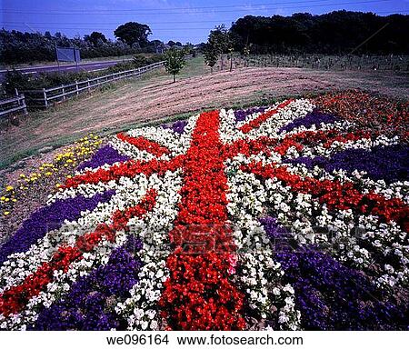 Union Jack flower bed by the side of the road, during the Queens Golden Jubilee View Large Photo Image Picture - Union Jack flower bed by the side of the road, during the Queens Golden Jubilee. Fotosearch