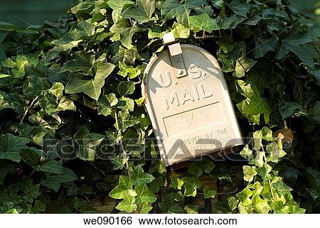 US mail box View Large Photo Image Stock Photograph - US mail box. Fotosearch