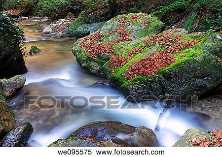 Valgrande river in autumn. Lena. Asturias. Spain View Large Photo Image Stock Photography - Valgrande river in autumn. Lena. Asturias. Spain. Fotosearch