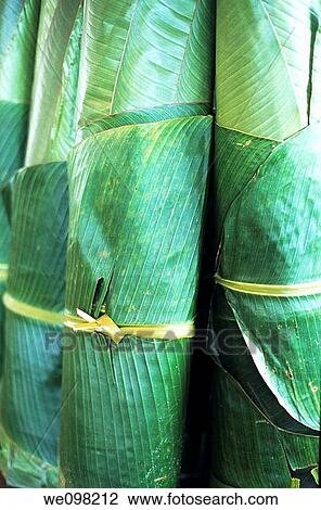 Vanuatu efate island port vila rolls of banana tree leaves for sale on the market View Large Photo Image Stock Image - Vanuatu efate island port vila rolls of banana tree leaves for sale on the market. Fotosearch