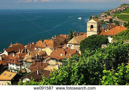 View at Saint-Saphorin at Lake Leman, UNESCO World Heritage site Lavaux, Vaud, Switzerland View Large Photo Image Stock Photo - View at Saint-Saphorin at Lake Leman, UNESCO World Heritage site Lavaux, Vaud, Switzerland. Fotosearch