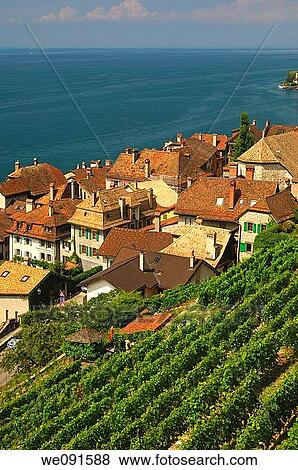 View at Saint-Saphorin at Lake Leman, UNESCO World Heritage site Lavaux, Vaud, Switzerland View Large Photo Image Stock Photo - View at Saint-Saphorin at Lake Leman, UNESCO World Heritage site Lavaux, Vaud, Switzerland. Fotosearch