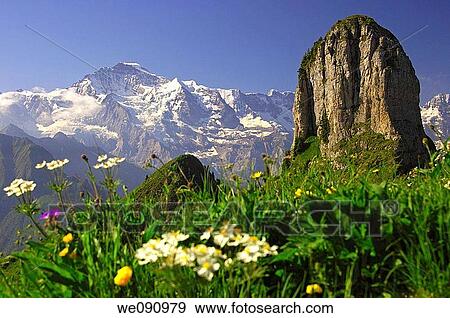 View at the peak of the Jungfrau Top of Europe, peak Daubenhorn right, Bernese Oberland, Switzerland View Large Photo Image Stock Photo - View at the peak of the Jungfrau Top of Europe, peak Daubenhorn right, Bernese Oberland, Switzerland. Fotosearch
