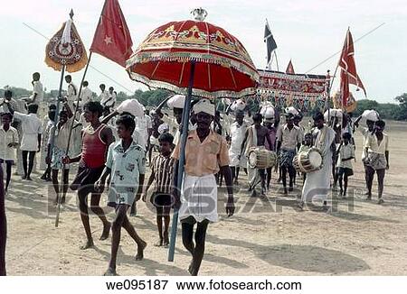 Villagers bringing the gift towels at Siravayal near Madurai, Tamil Nadu Jallikattu is a bull taming sport played in Tamil Nadu as a part of Pongal celebration This is one of the oldest living ancient sports seen in the modern era This sport is also kno View Large Photo Image Stock Photo - Villagers bringing the gift towels at Siravayal near Madurai, Tamil Nadu Jallikattu is a bull taming sport played in Tamil Nadu as a part of Pongal celebration This is one of the oldest living ancient sports seen in the modern era This sport is also kno. Fotosearch